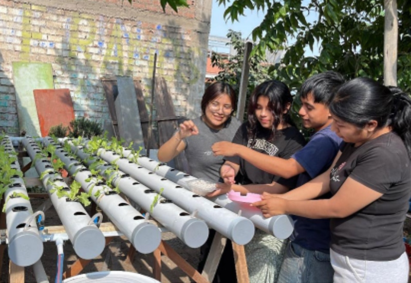 A Community Hydroponic System for Food Security in a Communitys Kitchens