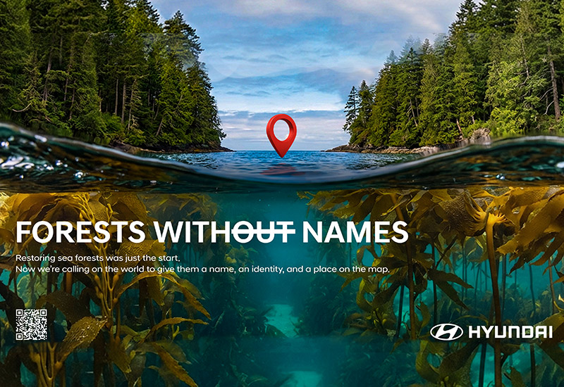Forests without names