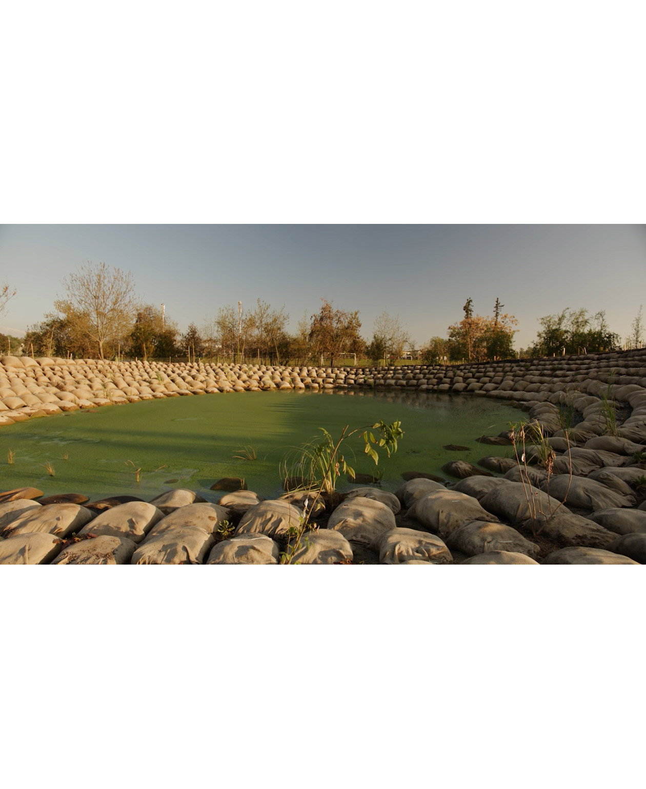 Image 15
