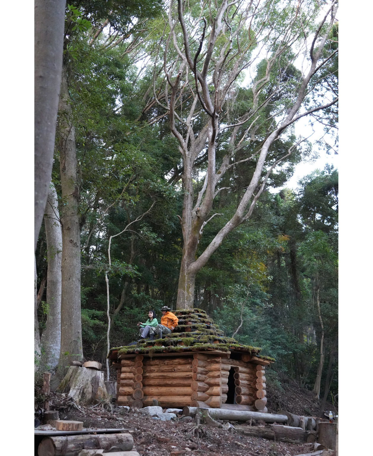 Image 2